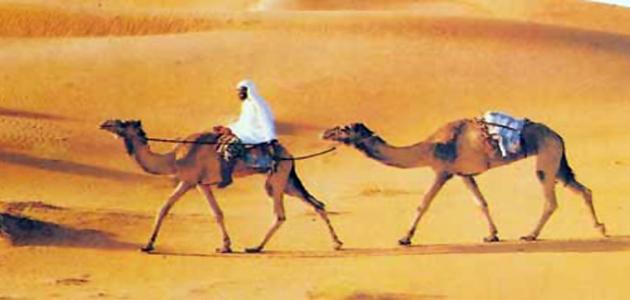 صفات العرب